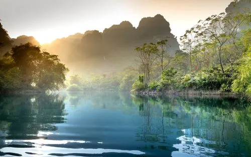 绿色绿色节能